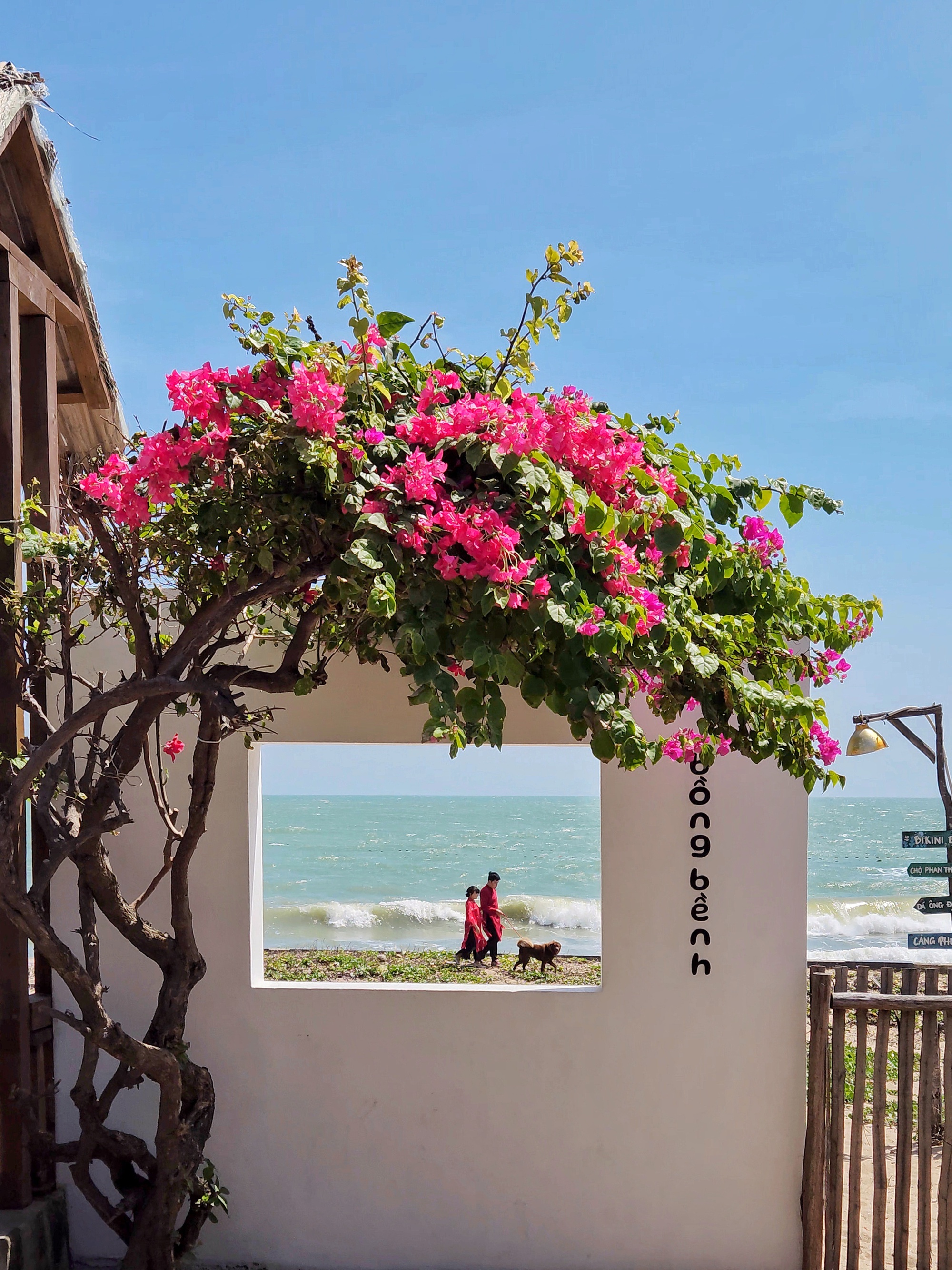 Vợ chồng trẻ từ bỏ lương cố định, rời phố về Phan Thiết: Sống chậm bên biển, tự quản lý tài chính, vất vả nhưng đáng- Ảnh 2. Vợ chồng trẻ từ bỏ lương cố định, rời phố về Phan Thiết: Sống chậm bên biển, tự quản lý tài chính, vất vả nhưng đáng- Ảnh 2.