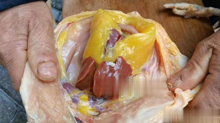 Phần thịt gà dinh dưỡng "đắt hơn giá vàng" nhưng lại hay bị người Việt vứt bỏ- Ảnh 1. Phần thịt gà dinh dưỡng "đắt hơn giá vàng" nhưng lại hay bị người Việt vứt bỏ- Ảnh 1.