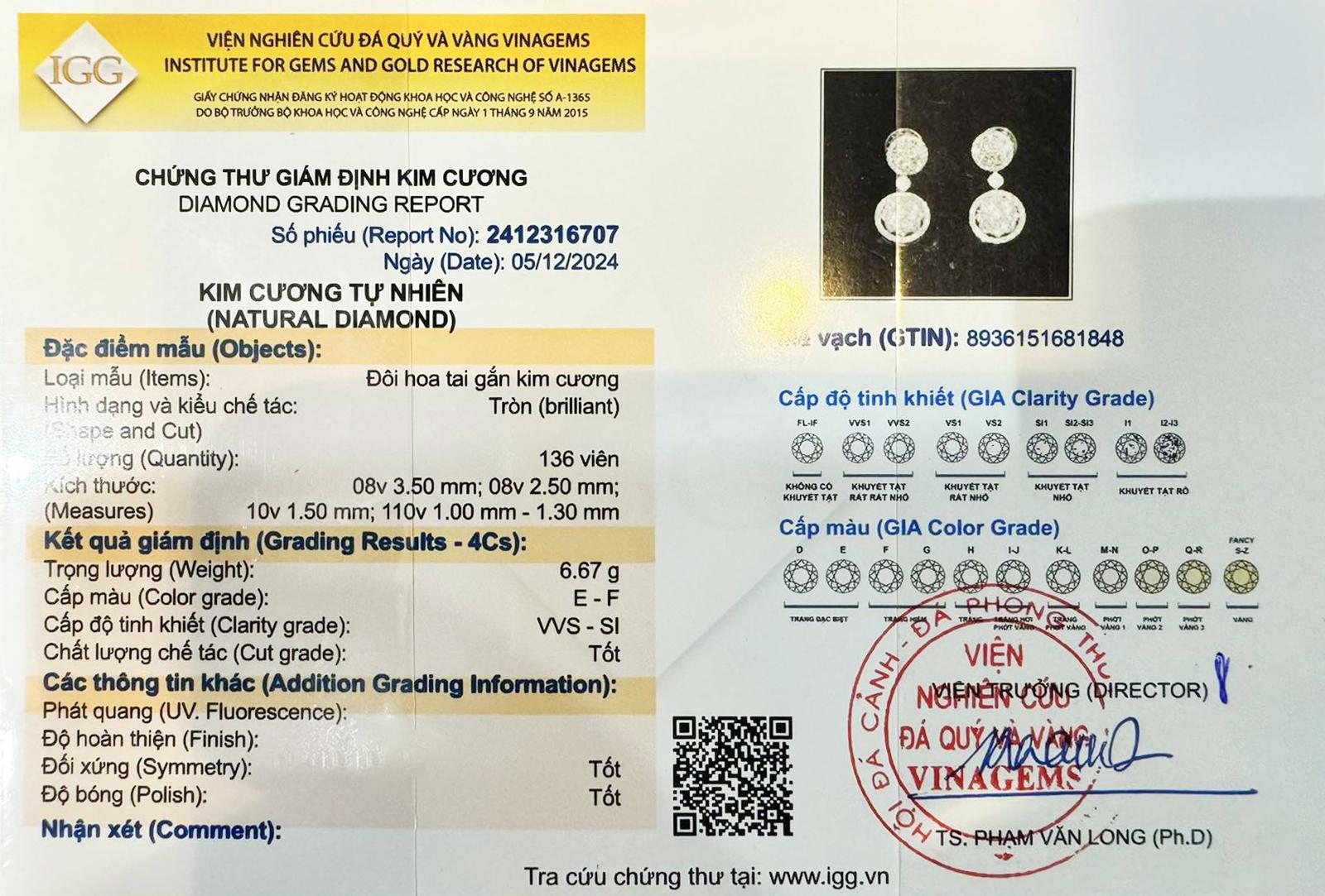 Trang sức kim cương hãnh diện thành công - vinh danh vị thế- Ảnh 2. Trang sức kim cương hãnh diện thành công - vinh danh vị thế- Ảnh 2.