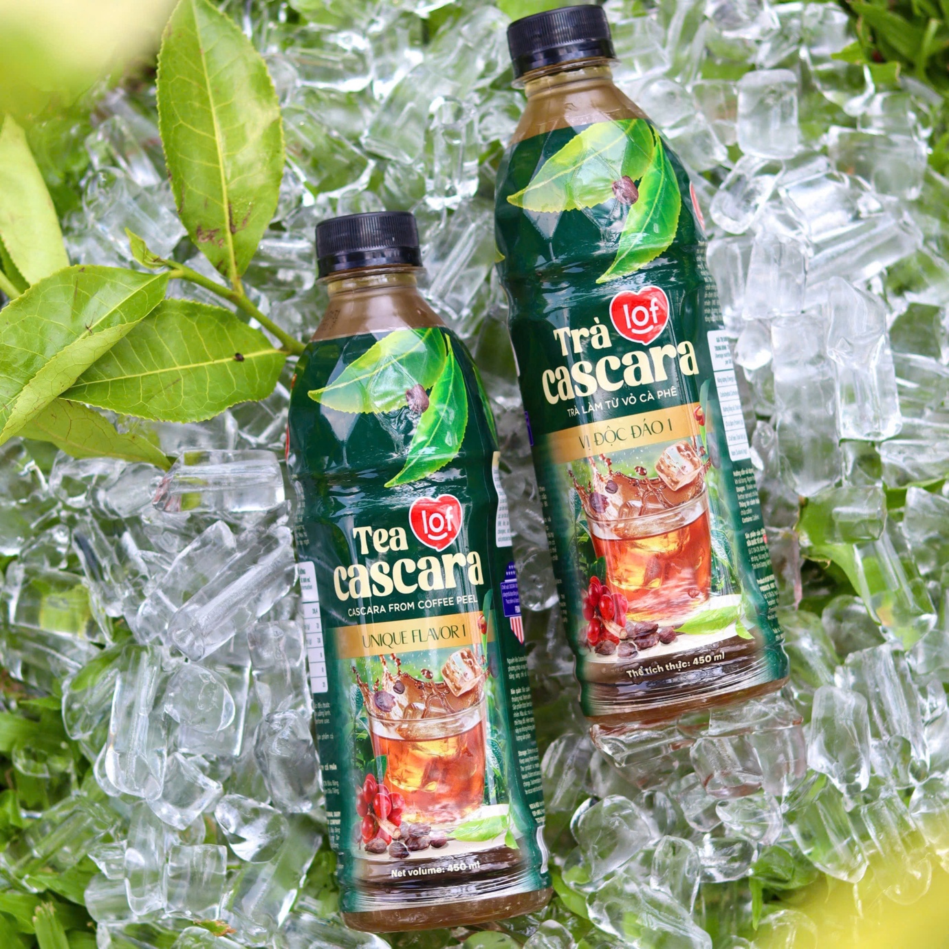 Trà Lof Cascara - Mở ra thế giới cảm xúc từ hương vị độc đáo- Ảnh 3. Trà Lof Cascara - Mở ra thế giới cảm xúc từ hương vị độc đáo- Ảnh 3.