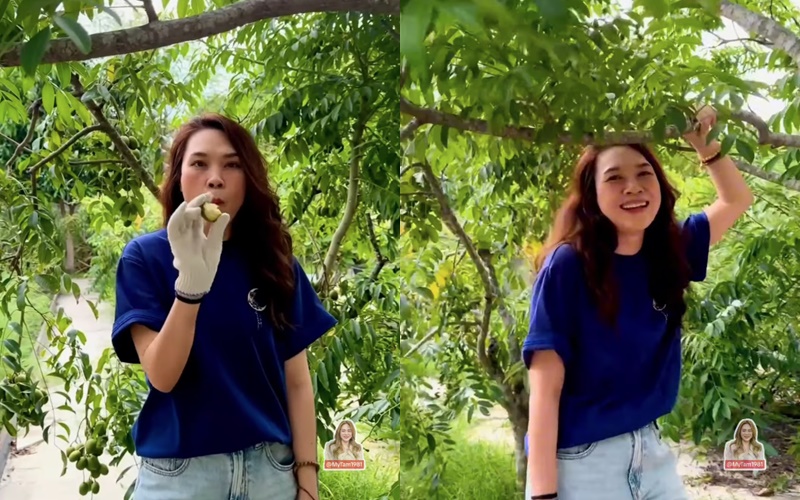 Thú vui đặc biệt của Mỹ Tâm: Trong nhà nữ ca sĩ có gì mà mới "flex nhẹ" đã khiến dân tình trầm trồ?- Ảnh 3. Thú vui đặc biệt của Mỹ Tâm: Trong nhà nữ ca sĩ có gì mà mới "flex nhẹ" đã khiến dân tình trầm trồ?- Ảnh 3.