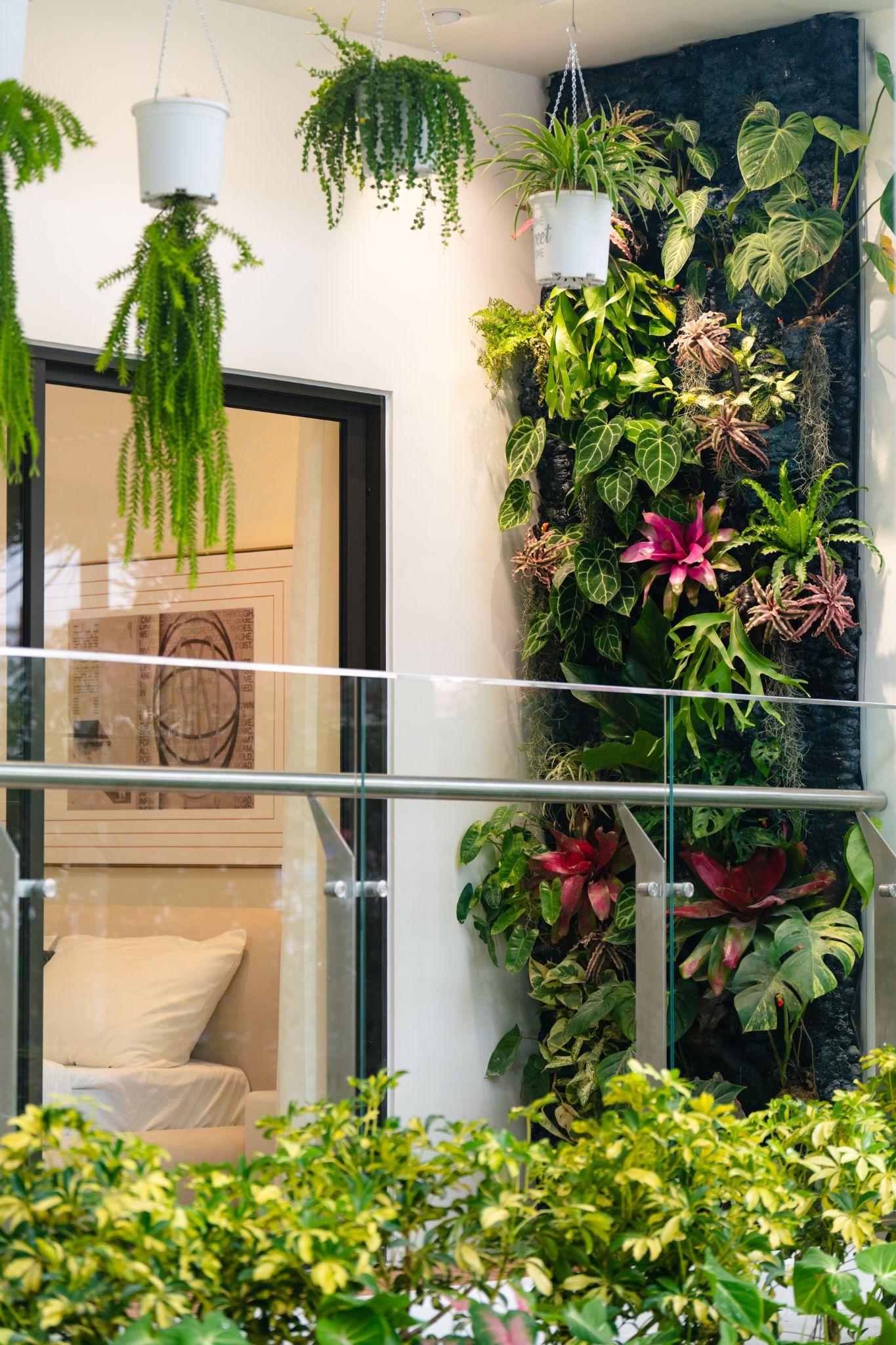 The Infinity Dĩ An khai trương căn hộ mẫu theo phong cách wellness- Ảnh 1. The Infinity Dĩ An khai trương căn hộ mẫu theo phong cách wellness- Ảnh 1.