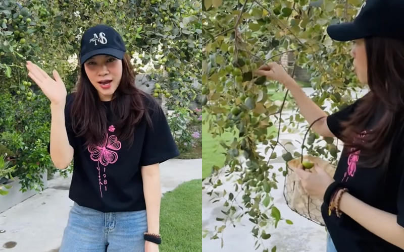 Thú vui đặc biệt của Mỹ Tâm: Trong nhà nữ ca sĩ có gì mà mới "flex nhẹ" đã khiến dân tình trầm trồ?- Ảnh 2. Thú vui đặc biệt của Mỹ Tâm: Trong nhà nữ ca sĩ có gì mà mới "flex nhẹ" đã khiến dân tình trầm trồ?- Ảnh 2.
