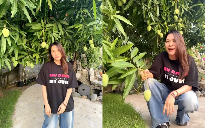 Thú vui đặc biệt của Mỹ Tâm: Trong nhà nữ ca sĩ có gì mà mới "flex nhẹ" đã khiến dân tình trầm trồ?- Ảnh 1. Thú vui đặc biệt của Mỹ Tâm: Trong nhà nữ ca sĩ có gì mà mới "flex nhẹ" đã khiến dân tình trầm trồ?- Ảnh 1.