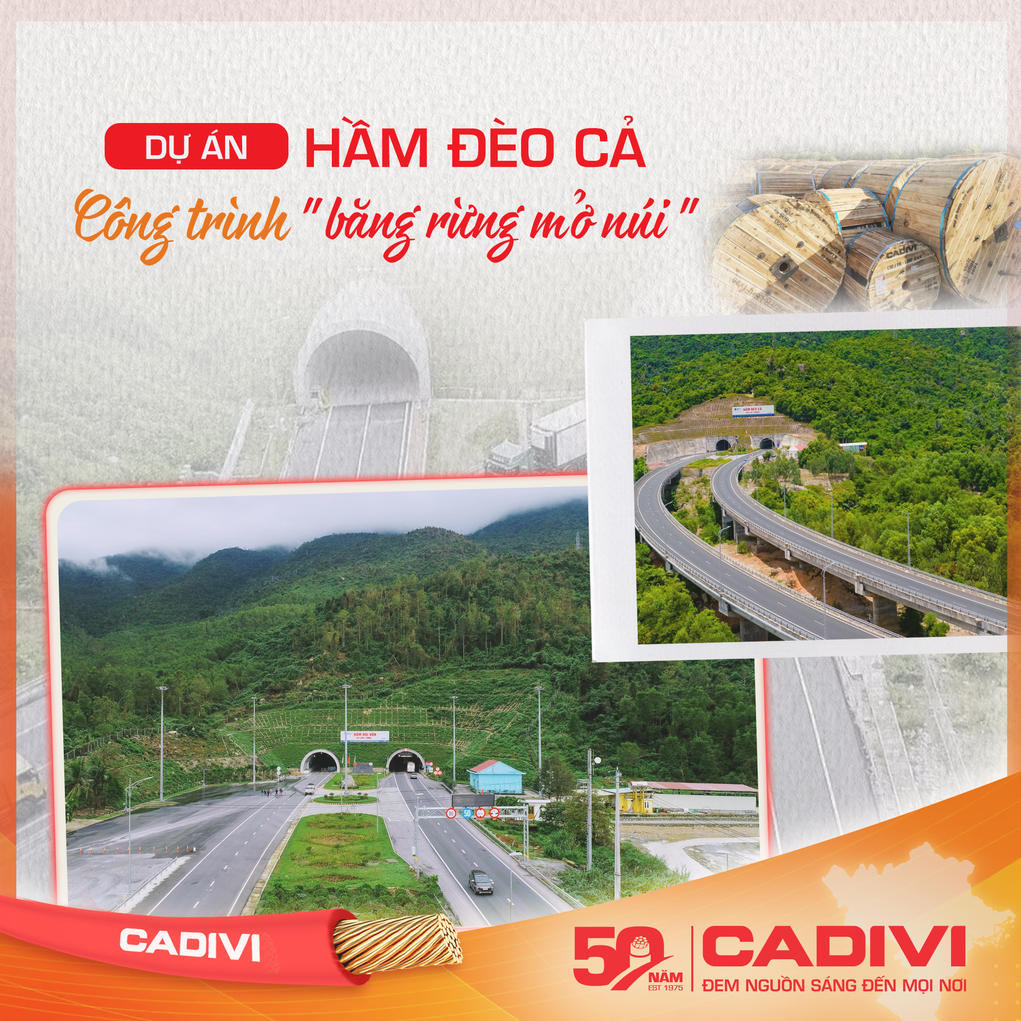 CADIVI – 50 năm cùng Việt Nam vươn cao- Ảnh 3. CADIVI – 50 năm cùng Việt Nam vươn cao- Ảnh 3.