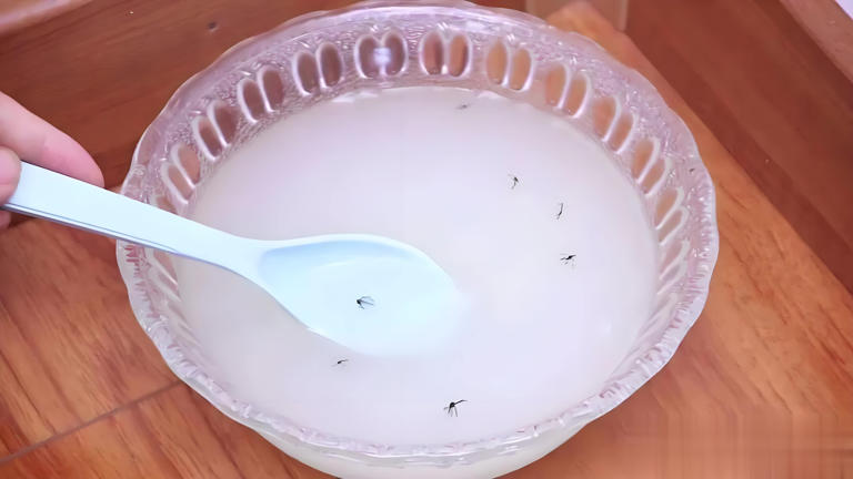 Trộn đường trắng với bột giặt đặt khắp nhà, hiệu quả "vàng mười" khiến tôi bất ngờ- Ảnh 2. Trộn đường trắng với bột giặt đặt khắp nhà, hiệu quả "vàng mười" khiến tôi bất ngờ- Ảnh 2.