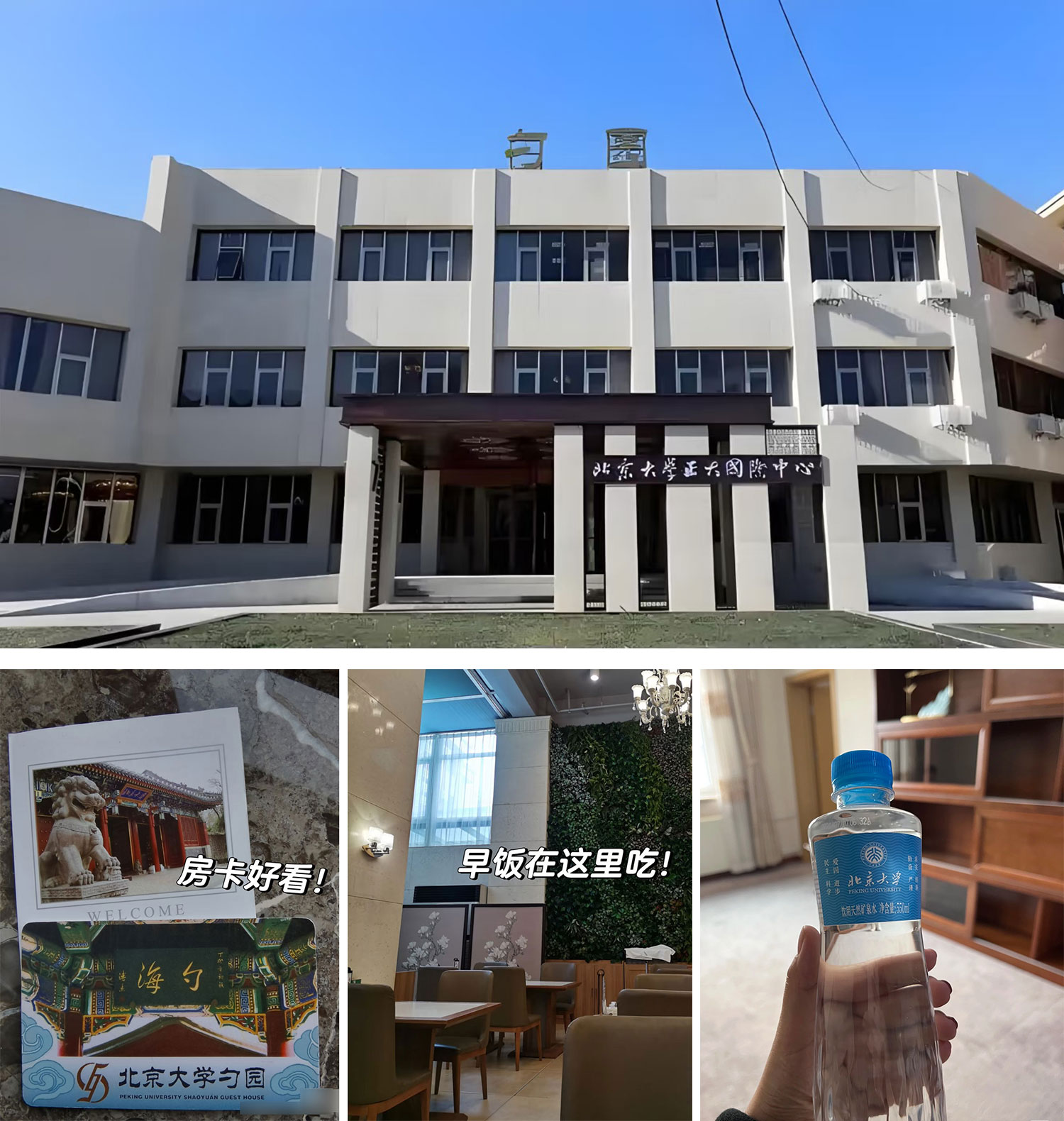 Giới trẻ đổ xô đến khách sạn và quán bar để học- Ảnh 1. Giới trẻ đổ xô đến khách sạn và quán bar để học- Ảnh 1.