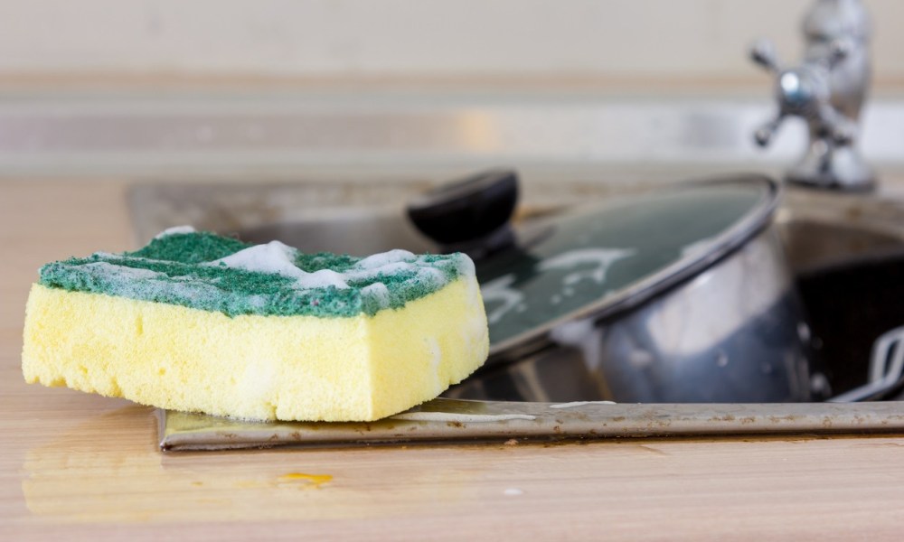 Chúng ta dùng mớ rửa bát để rửa bát, vậy lấy gì để rửa cái mớ rửa bát bây giờ, khi mỗi centimet vuông trên đó có tới 54 tỷ vi khuẩn?- Ảnh 1.