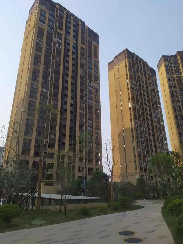 6 năm sống ở chung cư tầng 18, tôi dứt khoát bán nhà chuyển xuống tầng 1, kết quả là...- Ảnh 2. 6 năm sống ở chung cư tầng 18, tôi dứt khoát bán nhà chuyển xuống tầng 1, kết quả là...- Ảnh 2.