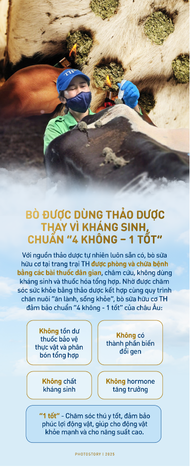 Bí mật vườn thảo dược cho bò sữa ngay trong trang trại TH true MILK- Ảnh 5. Bí mật vườn thảo dược cho bò sữa ngay trong trang trại TH true MILK- Ảnh 5.