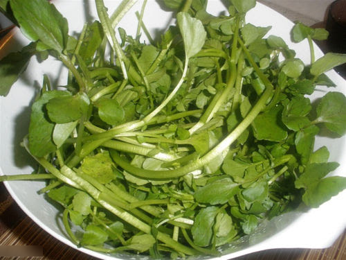 Việt Nam có loại rau chống ung thư tốt nhất thế giới, tốt cho sức khỏe tim mạch và xương khớp- Ảnh 1. Việt Nam có loại hi88.com lừa đảo chống ung thư tốt nhất thế giới, tốt cho sức khỏe tim mạch và xương khớp- Ảnh 1.