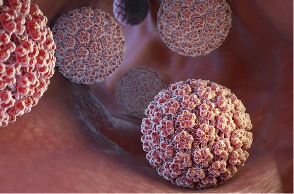 Chủ động bảo vệ sức khỏe sinh sản với vắc xin HPV- Ảnh 1. Chủ động bảo vệ sức khỏe sinh sản với vắc xin HPV- Ảnh 1.