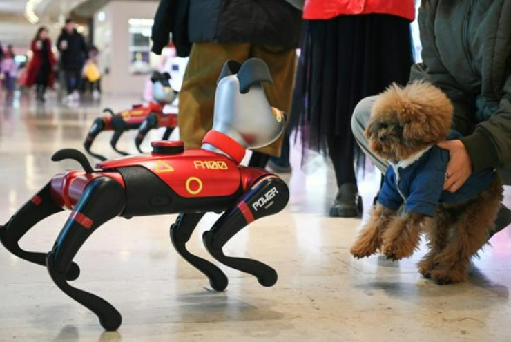 Xôn xao đoạn clip hơn 1 phút quay cảnh cuộc đối đầu giữa thú cưng AI và chó thật: Phản ứng đầy bất ngờ!- Ảnh 1.