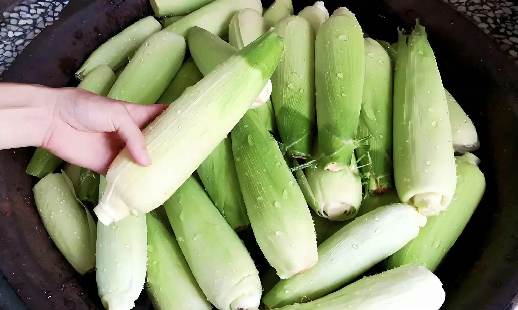 Bí quyết "4 từ" của đầu bếp khi luộc ngô giúp ăn ngọt và dẻo gấp trăm lần cách bạn vẫn hay làm!- Ảnh 1. Bí quyết "4 từ" của đầu bếp khi luộc ngô giúp ăn ngọt và dẻo gấp trăm lần cách bạn vẫn hay làm!- Ảnh 1.