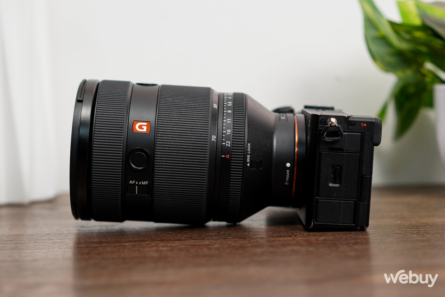 Đây là combo chụp ảnh Sony trong mơ của tôi- Ảnh 5. Đây là combo chụp ảnh Sony trong mơ của tôi- Ảnh 5.