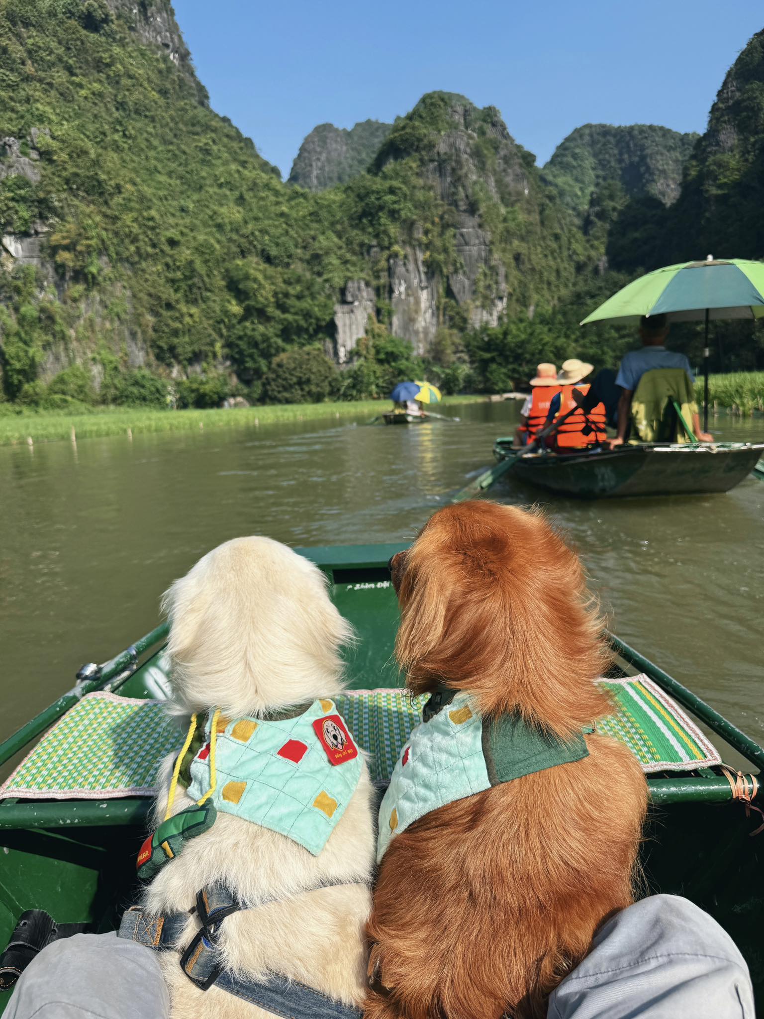 Chàng trai đi du lịch xuyên Việt cùng 2 chú chó: Đến đâu "off-fan" đến đó, vui thì hết nấc nhưng cũng có... nỗi niềm khó tả mà các "sen" cần biết- Ảnh 9. Chàng trai đi du lịch xuyên Việt cùng 2 chú chó: Đến đâu "off-fan" đến đó, vui thì hết nấc nhưng cũng có... nỗi niềm khó tả mà các "sen" cần biết- Ảnh 9.