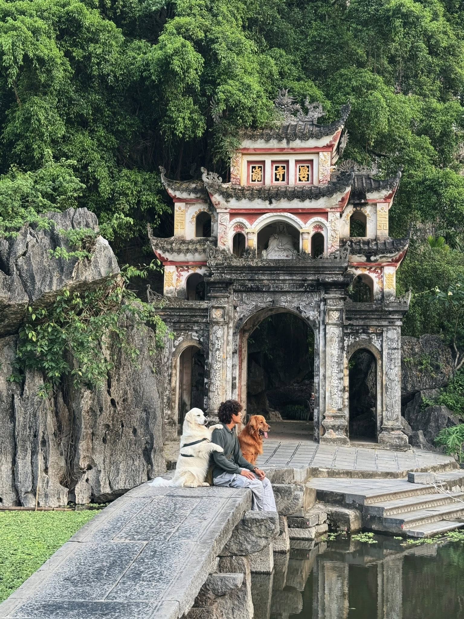 Chàng trai đi du lịch xuyên Việt cùng 2 chú chó: Đến đâu "off-fan" đến đó, vui thì hết nấc nhưng cũng có... nỗi niềm khó tả mà các "sen" cần biết- Ảnh 10. Chàng trai đi du lịch xuyên Việt cùng 2 chú chó: Đến đâu "off-fan" đến đó, vui thì hết nấc nhưng cũng có... nỗi niềm khó tả mà các "sen" cần biết- Ảnh 10.