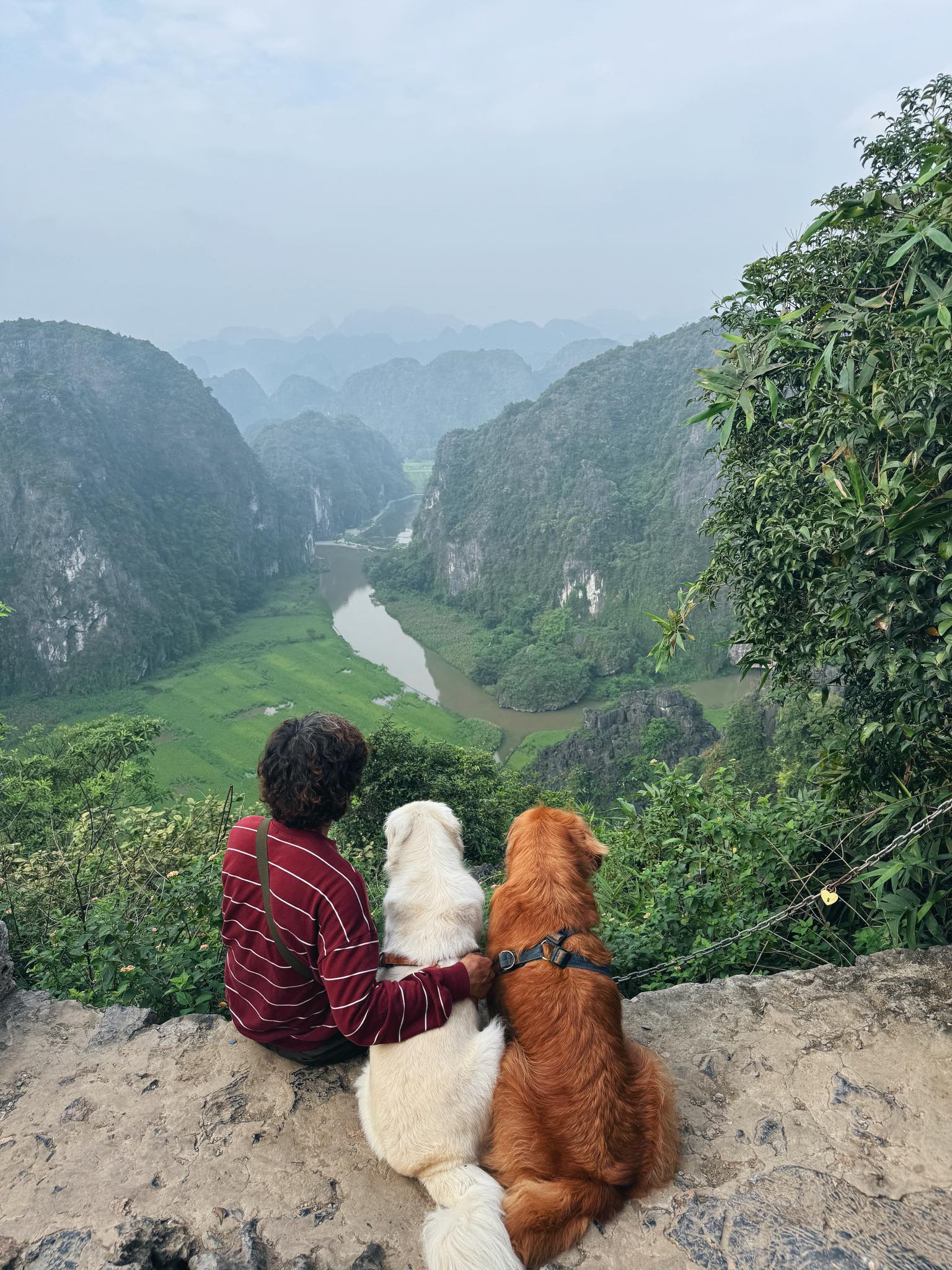 Chàng trai đi du lịch xuyên Việt cùng 2 chú chó: Đến đâu "off-fan" đến đó, vui thì hết nấc nhưng cũng có... nỗi niềm khó tả mà các "sen" cần biết- Ảnh 11. Chàng trai đi du lịch xuyên Việt cùng 2 chú chó: Đến đâu "off-fan" đến đó, vui thì hết nấc nhưng cũng có... nỗi niềm khó tả mà các "sen" cần biết- Ảnh 11.