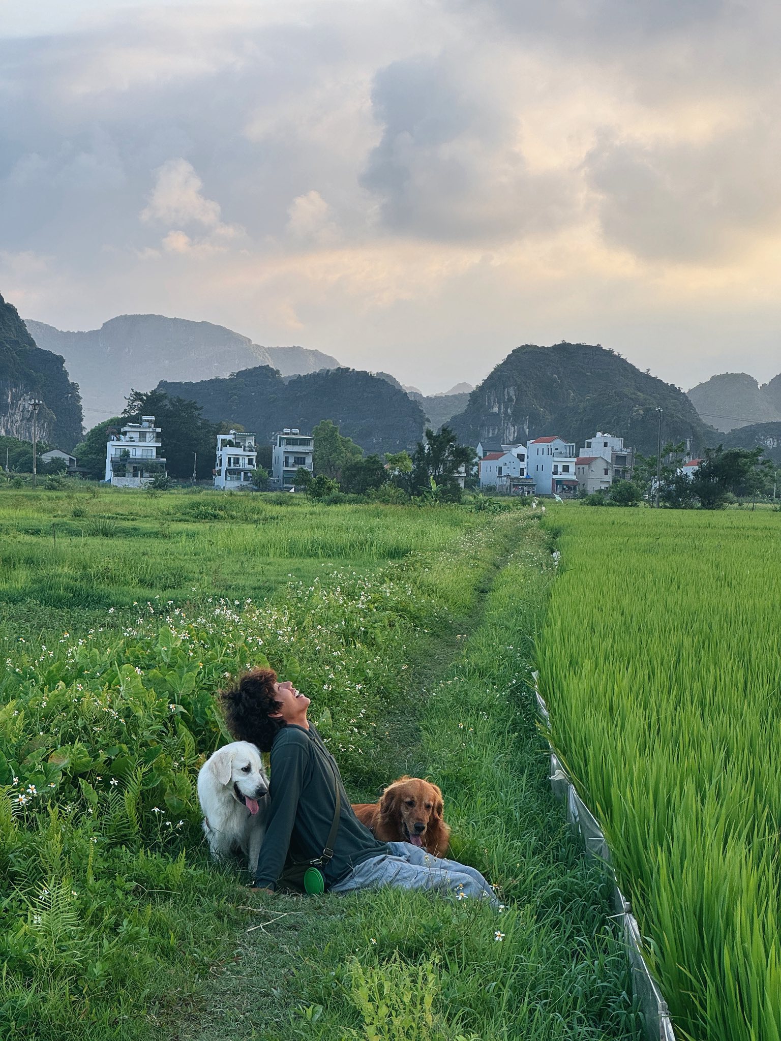 Chàng trai đi du lịch xuyên Việt cùng 2 chú chó: Đến đâu "off-fan" đến đó, vui thì hết nấc nhưng cũng có... nỗi niềm khó tả mà các "sen" cần biết- Ảnh 19. Chàng trai đi du lịch xuyên Việt cùng 2 chú chó: Đến đâu "off-fan" đến đó, vui thì hết nấc nhưng cũng có... nỗi niềm khó tả mà các "sen" cần biết- Ảnh 19.