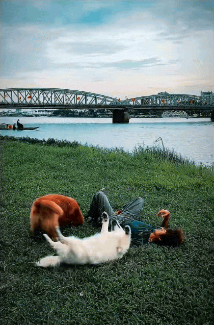 Chàng trai đi du lịch xuyên Việt cùng 2 chú chó: Đến đâu "off-fan" đến đó, vui thì hết nấc nhưng cũng có... nỗi niềm khó tả mà các "sen" cần biết- Ảnh 13. Chàng trai đi du lịch xuyên Việt cùng 2 chú chó: Đến đâu "off-fan" đến đó, vui thì hết nấc nhưng cũng có... nỗi niềm khó tả mà các "sen" cần biết- Ảnh 13.