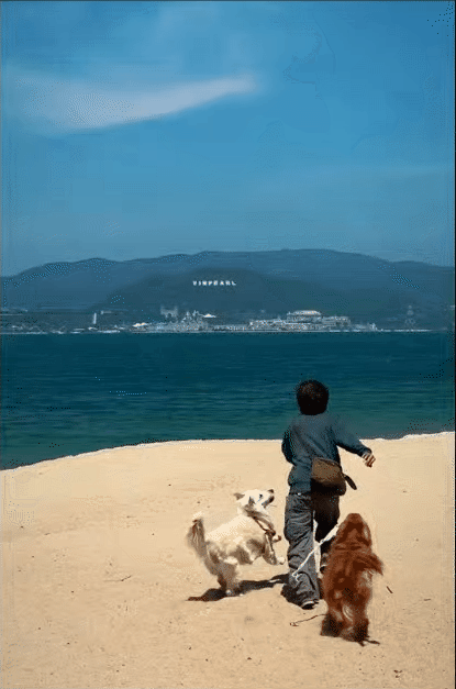 Chàng trai đi du lịch xuyên Việt cùng 2 chú chó: Đến đâu "off-fan" đến đó, vui thì hết nấc nhưng cũng có... nỗi niềm khó tả mà các "sen" cần biết- Ảnh 17. Chàng trai đi du lịch xuyên Việt cùng 2 chú chó: Đến đâu "off-fan" đến đó, vui thì hết nấc nhưng cũng có... nỗi niềm khó tả mà các "sen" cần biết- Ảnh 17.