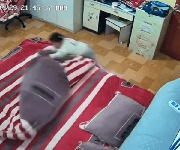 Tưởng cảm động hóa ra "cảm lạnh": Bố say rượu được con gái nhỏ cởi giày cho, nhưng cái kết "cua" quá gắt khiến ai nấy cười bò- Ảnh 1. Tưởng cảm động hóa ra "cảm lạnh": Bố say rượu được con gái nhỏ cởi giày cho, nhưng cái kết "cua" quá gắt khiến ai nấy cười bò- Ảnh 1.
