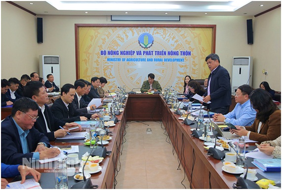 Ninh Bình nằm trong top 23 tỉnh đạt chuẩn nông thôn mới - định hướng đến năm 2030, tầm nhìn đến năm 2050- Ảnh 3. Ninh Bình nằm trong top 23 tỉnh đạt chuẩn nông thôn mới - định hướng đến năm 2030, tầm nhìn đến năm 2050- Ảnh 3.