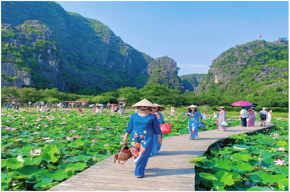 Mô hình đổi đất lúa kém chất hiệu quả sang sen phục vụ du lịch. Mô hình đổi đất lúa kém chất hiệu quả sang sen phục vụ du lịch.