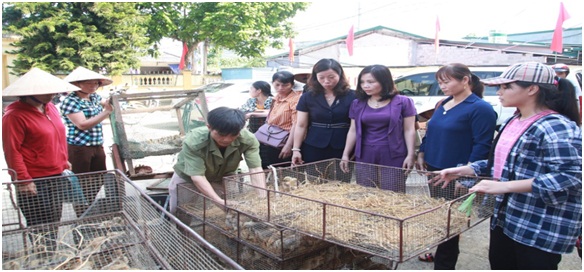 Hội Liên hiệp Phụ nữ tỉnh hỗ trợ, giúp đỡ nhiều hội viên phát triển kinh tế giảm nghèo bền vững. Hội Liên hiệp Phụ nữ tỉnh hỗ trợ, giúp đỡ nhiều hội viên phát triển kinh tế giảm nghèo bền vững.