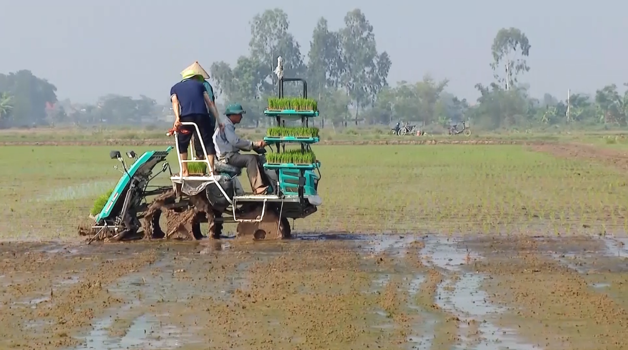 Ninh Bình tập trung phát triển sản xuất, nâng cao thu nhập cho người dân hướng đến mục tiêu giảm nghèo và an sinh xã hội- Ảnh 3. Ninh Bình tập nhà cái hi88 phát triển sản xuất, nâng cao thu nhập cho người dân hướng đến mục tiêu giảm nghèo và an sinh xã hội- Ảnh 3.