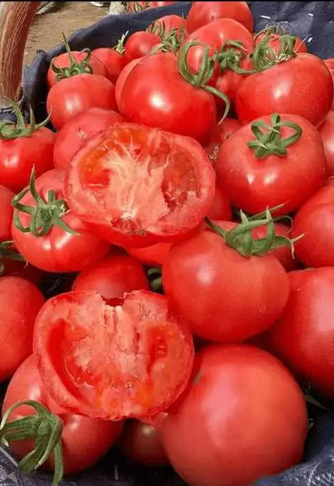 Dạo 1 vòng chợ, người tinh ranh nhìn là biết ngay 5 loại rau củ này "ngâm tẩm đẫm hóa chất", nhất là cái số 4- Ảnh 1. Dạo 1 vòng chợ, người tinh ranh nhìn là biết hi88.com lừa đảo 5 loại rau củ này "ngâm tẩm đẫm hóa chất", nhất là cái số 4- Ảnh 1.