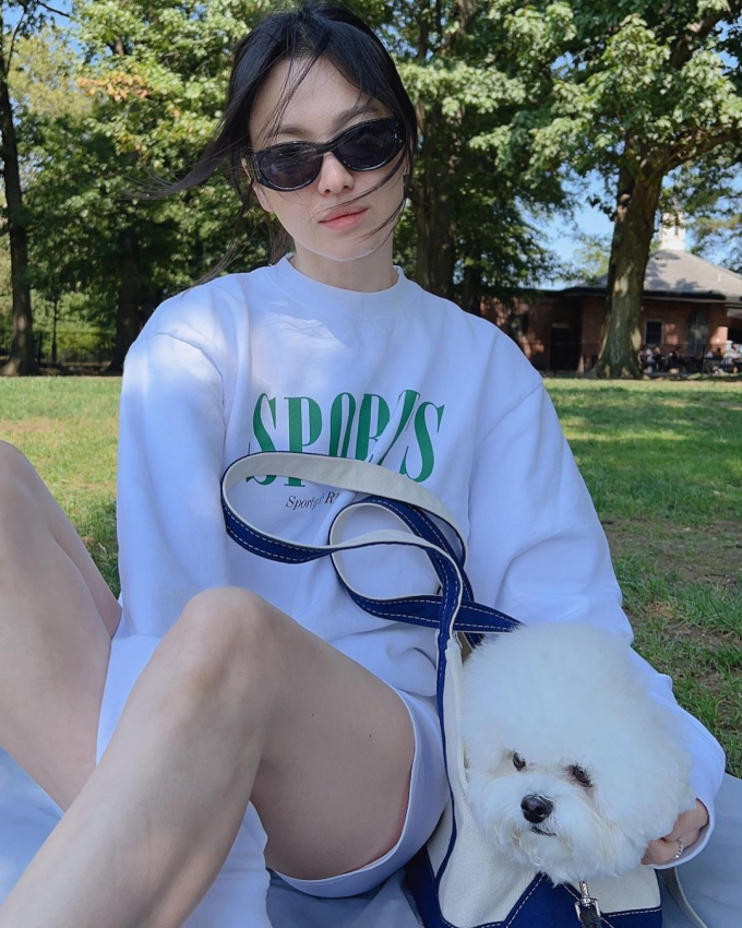 Độc thân không con cái, nhưng Song Hye Kyo lại chi gần 10 triệu đồng để mua xe đẩy cho cún cưng, ai hiểu cũng thấy thật đáng giá- Ảnh 2. Độc thân không con cái, nhưng Song Hye Kyo lại chi gần 10 triệu đồng để mua xe đẩy cho cún cưng, ai hiểu cũng thấy thật đáng giá- Ảnh 2.