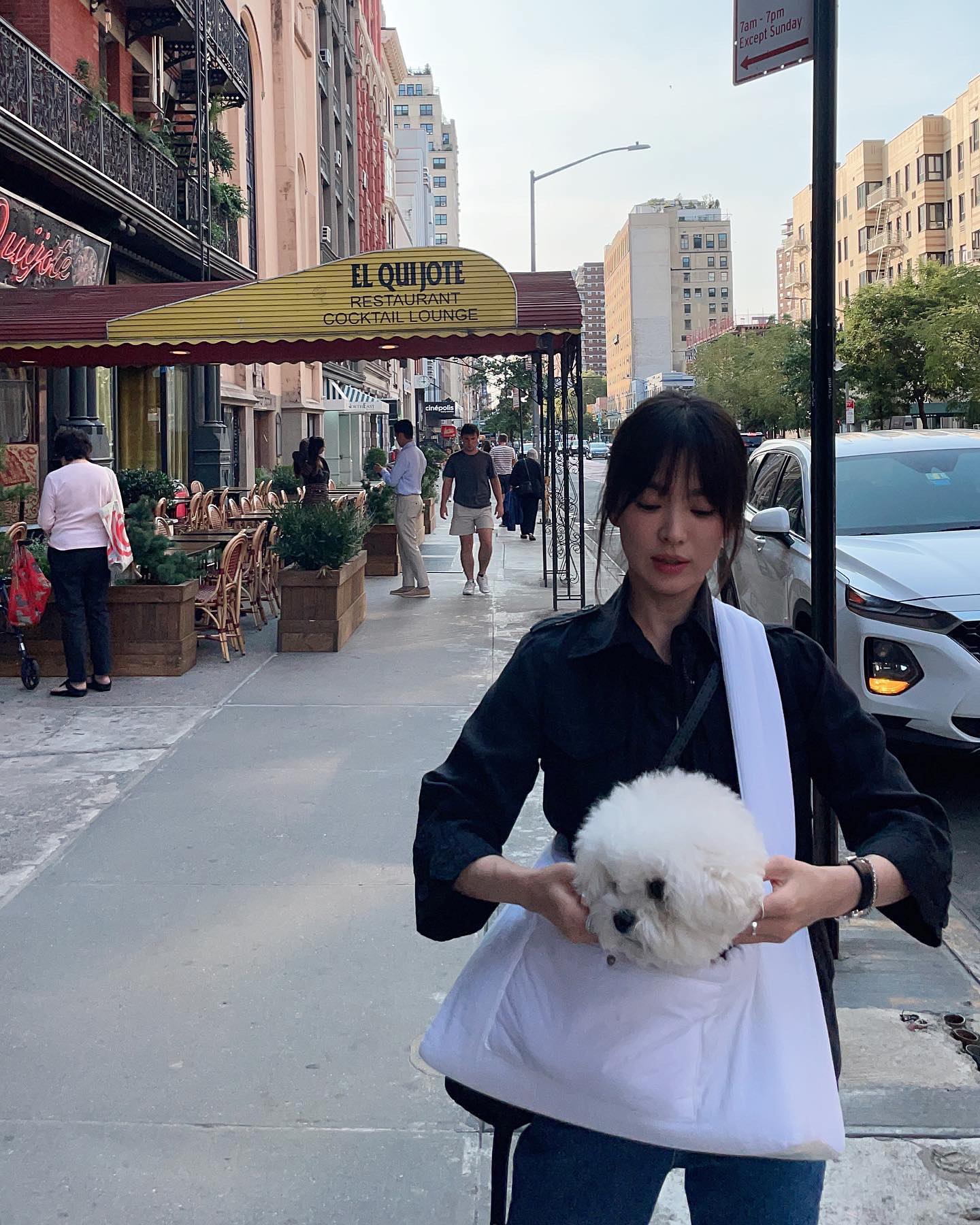 Độc thân không con cái, nhưng Song Hye Kyo lại chi gần 10 triệu đồng để mua xe đẩy cho cún cưng, ai hiểu cũng thấy thật đáng giá- Ảnh 3. Độc thân không con cái, nhưng Song Hye Kyo lại chi gần 10 triệu đồng để mua xe đẩy cho cún cưng, ai hiểu cũng thấy thật đáng giá- Ảnh 3.
