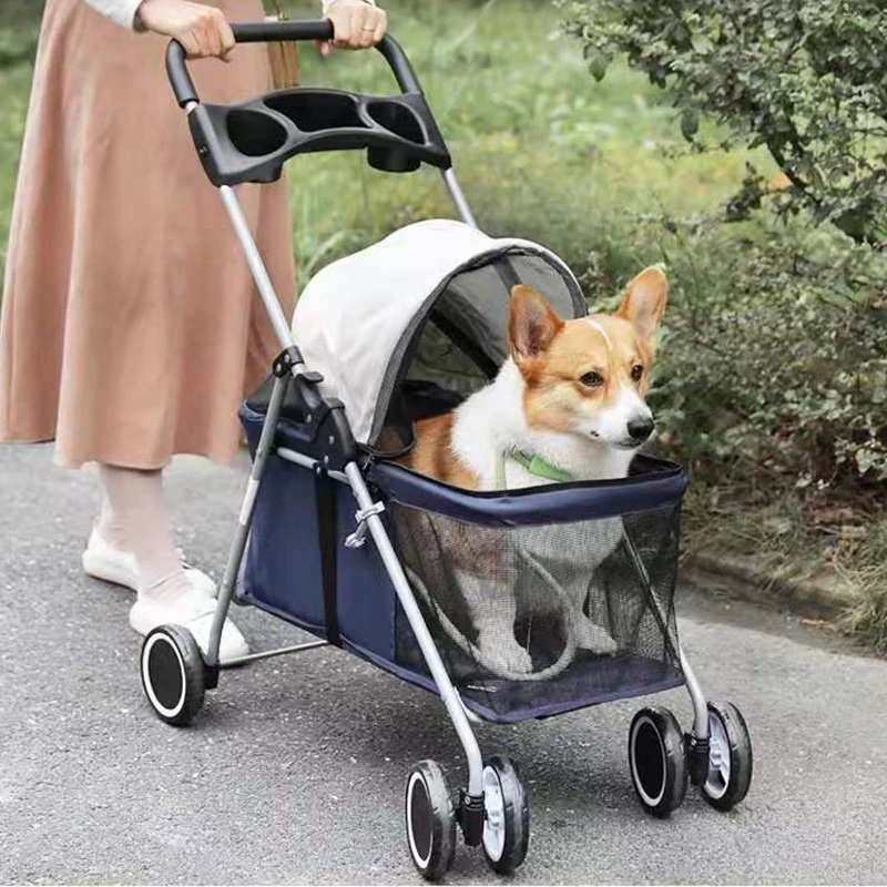 Độc thân không con cái, nhưng Song Hye Kyo lại chi gần 10 triệu đồng để mua xe đẩy cho cún cưng, ai hiểu cũng thấy thật đáng giá- Ảnh 11. Độc thân không con cái, nhưng Song Hye Kyo lại chi gần 10 triệu đồng để mua xe đẩy cho cún cưng, ai hiểu cũng thấy thật đáng giá- Ảnh 11.