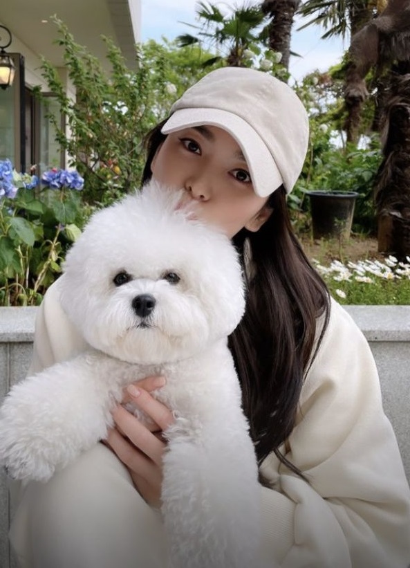 Độc thân không con cái, nhưng Song Hye Kyo lại chi gần 10 triệu đồng để mua xe đẩy cho cún cưng, ai hiểu cũng thấy thật đáng giá- Ảnh 1. Độc thân không con cái, nhưng Song Hye Kyo lại chi gần 10 triệu đồng để mua xe đẩy cho cún cưng, ai hiểu cũng thấy thật đáng giá- Ảnh 1.
