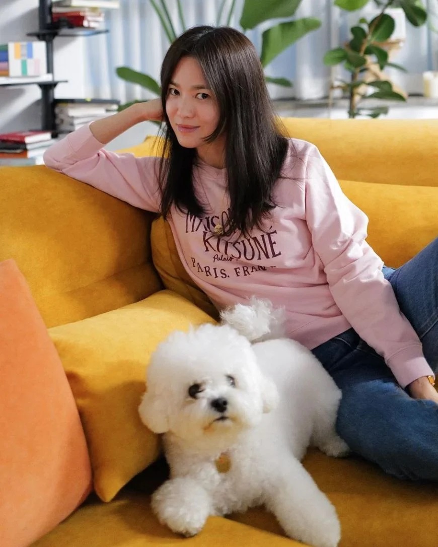 Độc thân không con cái, nhưng Song Hye Kyo lại chi gần 10 triệu đồng để mua xe đẩy cho cún cưng, ai hiểu cũng thấy thật đáng giá- Ảnh 6. Độc thân không con cái, nhưng Song Hye Kyo lại chi gần 10 triệu đồng để mua xe đẩy cho cún cưng, ai hiểu cũng thấy thật đáng giá- Ảnh 6.