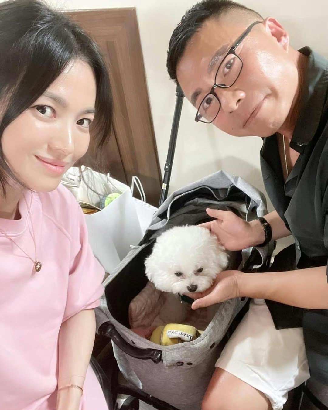 Độc thân không con cái, nhưng Song Hye Kyo lại chi gần 10 triệu đồng để mua xe đẩy cho cún cưng, ai hiểu cũng thấy thật đáng giá- Ảnh 4. Độc thân không con cái, nhưng Song Hye Kyo lại chi gần 10 triệu đồng để mua xe đẩy cho cún cưng, ai hiểu cũng thấy thật đáng giá- Ảnh 4.