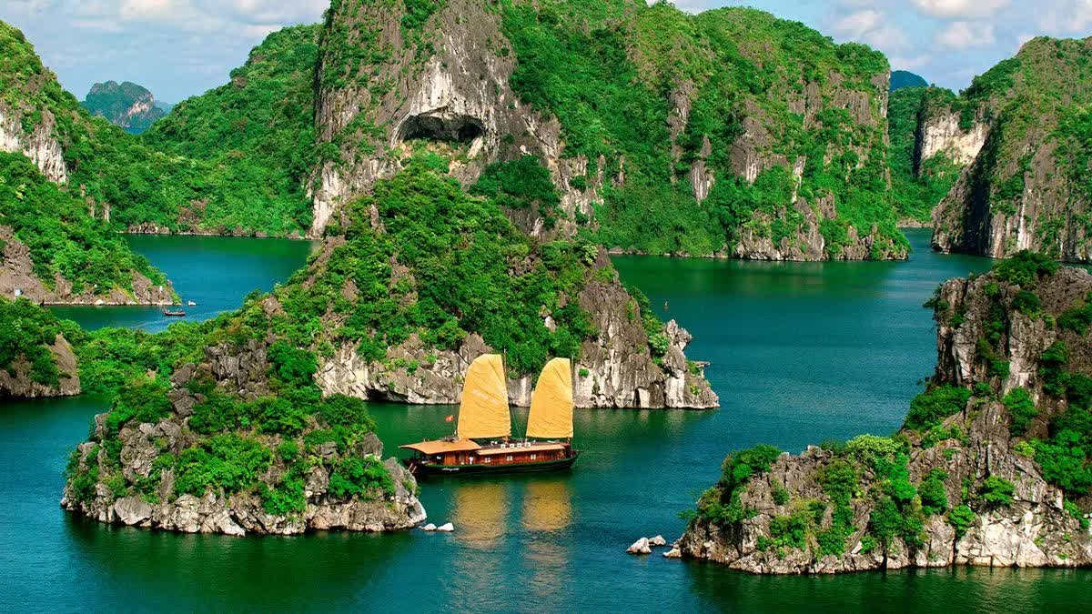 Có những người vượt hàng trăm cây số đến Quảng Ninh chỉ để ăn 3 món đặc sản này: Nhiều nơi khác cũng có nhưng không đâu ngon bằng!- Ảnh 7. Có những người vượt hàng trăm cây số đến Quảng Ninh chỉ để ăn 3 món đặc sản này: Nhiều nơi khác cũng có nhưng không đâu ngon bằng!- Ảnh 7.