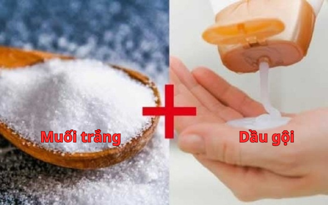 Trộn muối trắng với dầu gội, vấn đề "khó nói" của cả nam và nữ đều được giải quyết- Ảnh 1. Trộn muối trắng với dầu gội, vấn đề "khó nói" của cả nam và nữ đều được giải quyết- Ảnh 1.