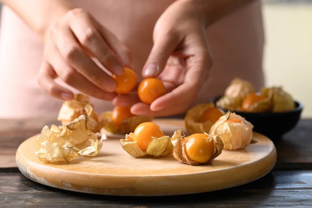 Việt Nam có loại quả dại, ít người ăn, sang Nhật có giá 2,9 triệu đồng/kg: Tiềm năng phòng ung thư- Ảnh 5. Việt hi88.com có loại quả dại, ít người ăn, sang Nhật có giá 2,9 triệu đồng/kg: Tiềm năng phòng ung thư- Ảnh 5.