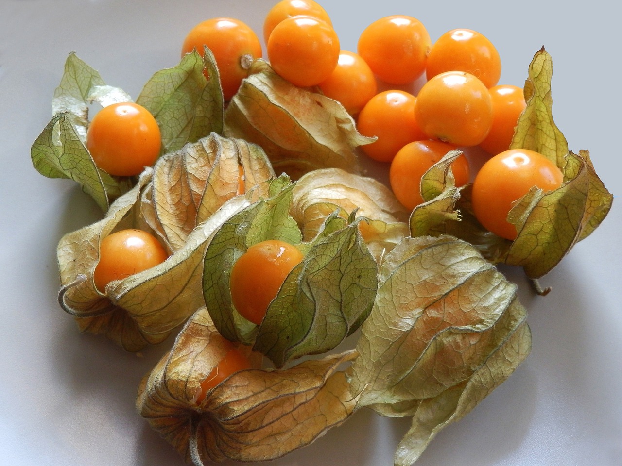 Việt Nam có loại quả dại, ít người ăn, sang Nhật có giá 2,9 triệu đồng/kg: Tiềm năng phòng ung thư- Ảnh 3. Việt hi88.com có loại quả dại, ít người ăn, sang Nhật có giá 2,9 triệu đồng/kg: Tiềm năng phòng ung thư- Ảnh 3.