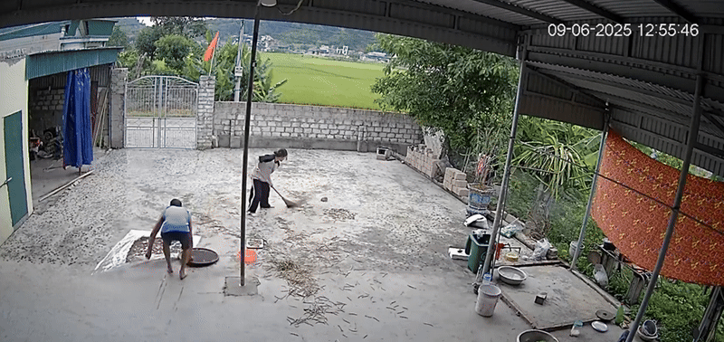 Đang ngồi trong nhà, nữ sinh bất ngờ chạy vụt ra sân khiến dân tình thót tim: Con nhà nông chắc hiểu dữ lắm!- Ảnh 3. Đang ngồi trong nhà, nữ sinh bất ngờ chạy vụt ra sân khiến dân tình thót tim: hi88.com nhà nông chắc hiểu dữ lắm!- Ảnh 3.