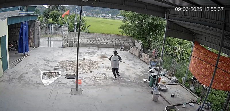 Đang ngồi trong nhà, nữ sinh bất ngờ chạy vụt ra sân khiến dân tình thót tim: Con nhà nông chắc hiểu dữ lắm!- Ảnh 2. Đang ngồi trong nhà, nữ sinh bất ngờ chạy vụt ra sân khiến dân tình thót tim: hi88.com nhà nông chắc hiểu dữ lắm!- Ảnh 2.
