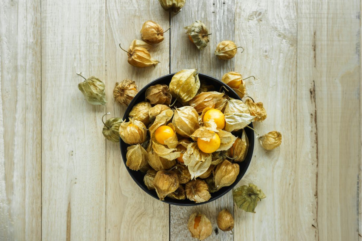 Việt Nam có loại quả dại, ít người ăn, sang Nhật có giá 2,9 triệu đồng/kg: Tiềm năng phòng ung thư- Ảnh 4. Việt hi88.com có loại quả dại, ít người ăn, sang Nhật có giá 2,9 triệu đồng/kg: Tiềm năng phòng ung thư- Ảnh 4.