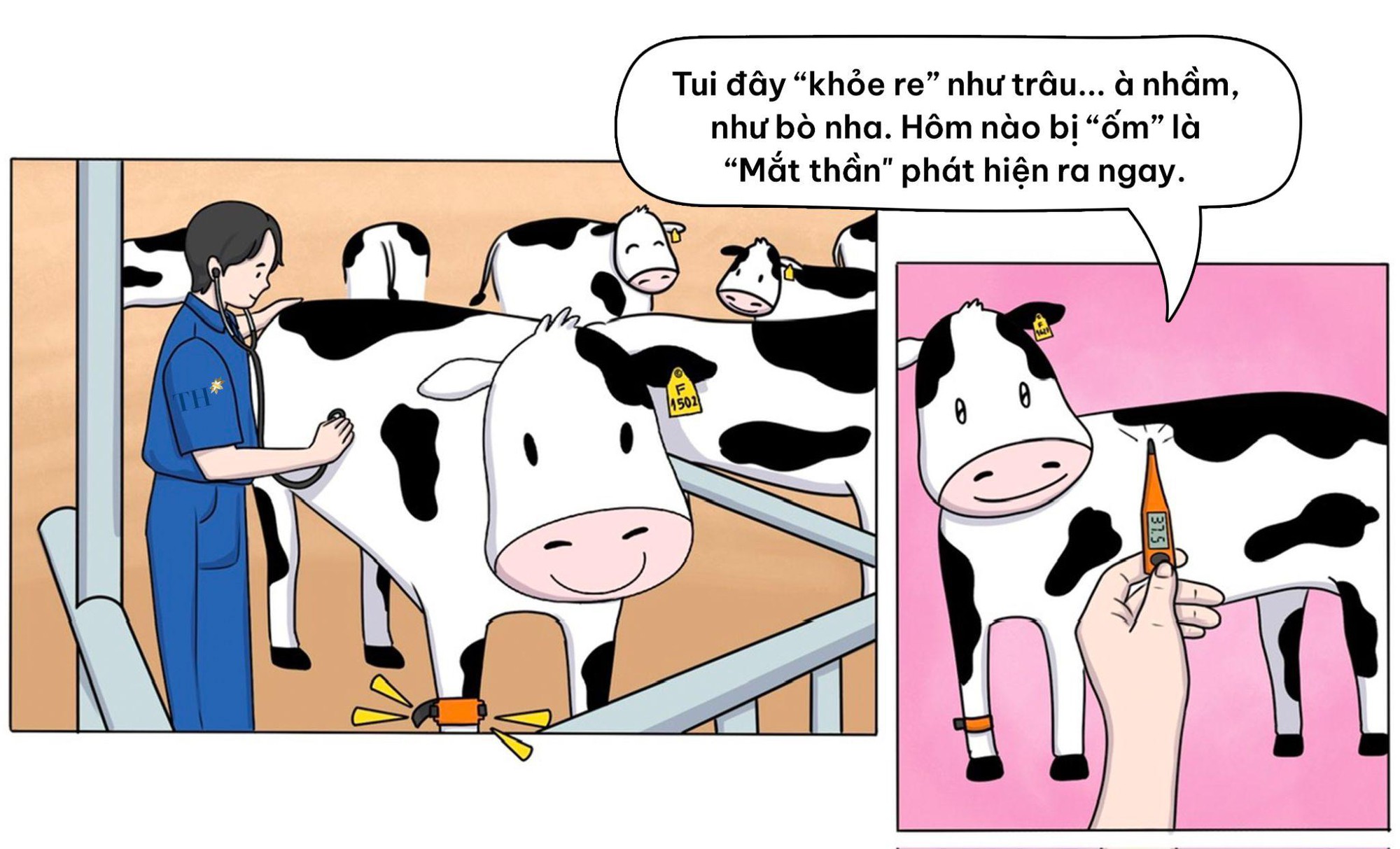 Flex nhẹ cuộc sống “chanh sả” của những cô bò sữa TH true MILK- Ảnh 3. Flex nhẹ cuộc sống “chanh sả” của những cô bò sữa nhà cái hi88- Ảnh 3.