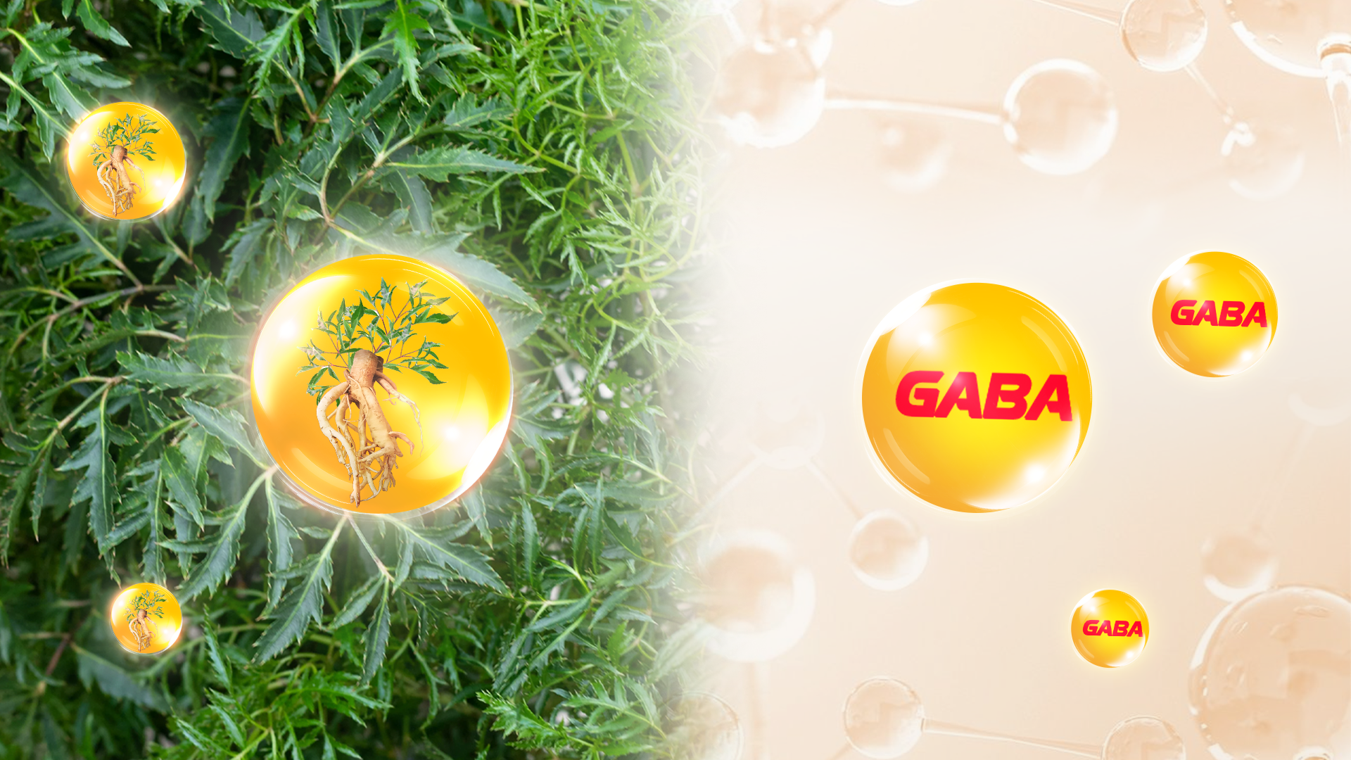 Kỷ nguyên cạnh tranh số: Mấu chốt để trí não con người không bị A.I. “bỏ lại”- Ảnh 3. Kỷ nguyên cạnh nhà cái hi88 số: Mấu chốt để trí não con người không bị A.I. “bỏ lại”- Ảnh 3.