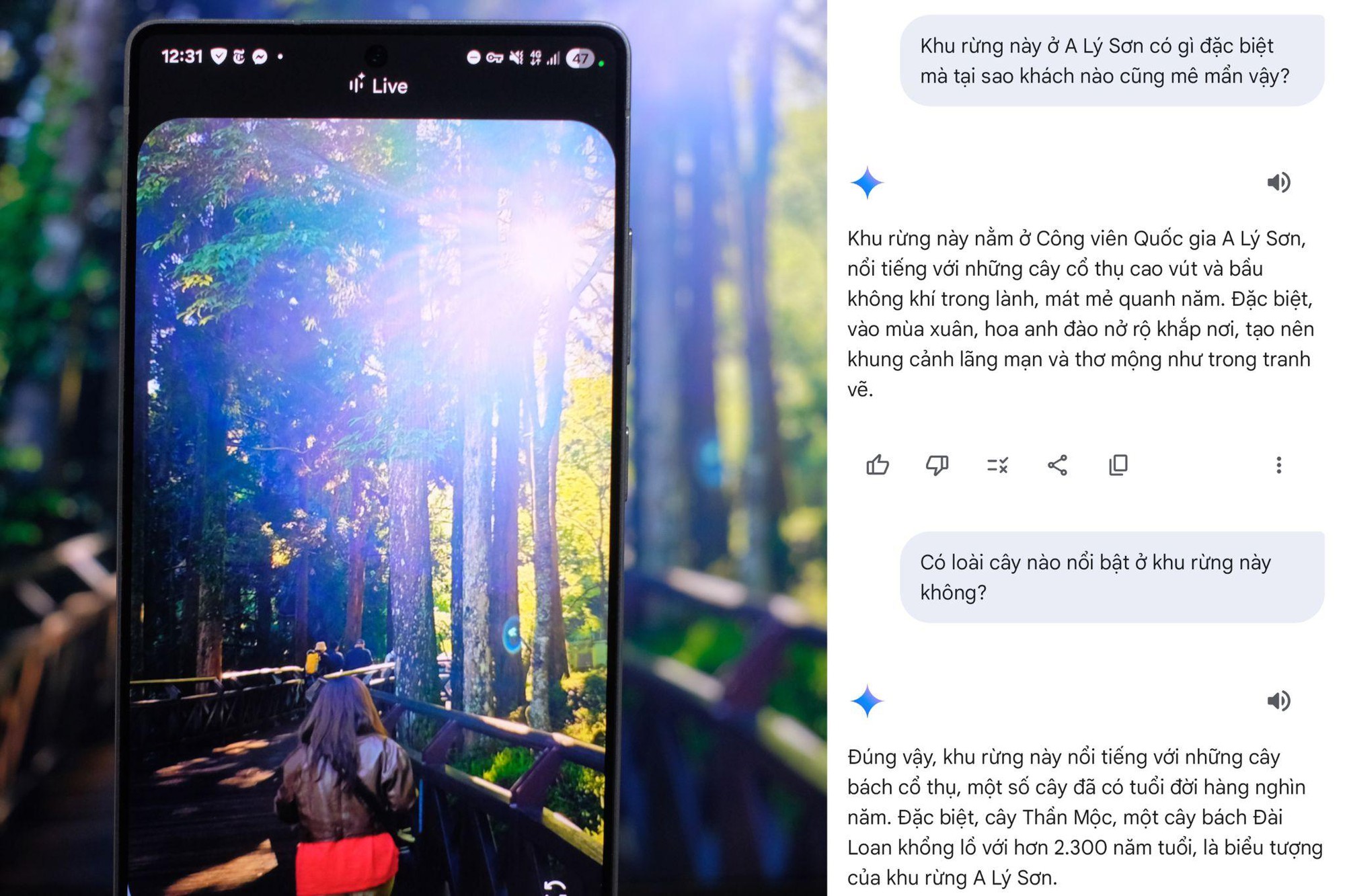 Cầm Galaxy S25 Ultra vi vu Đài Loan (Trung Quốc): Vừa chụp ảnh đẹp, vừa có “tour guide AI” biết tuốt bên cạnh!- Ảnh 4. Cầm Galaxy S25 Ultra vi vu Đài Loan (hi88 gg Quốc): Vừa chụp ảnh đẹp, vừa có “tour guide AI” biết tuốt bên cạnh!- Ảnh 4.
