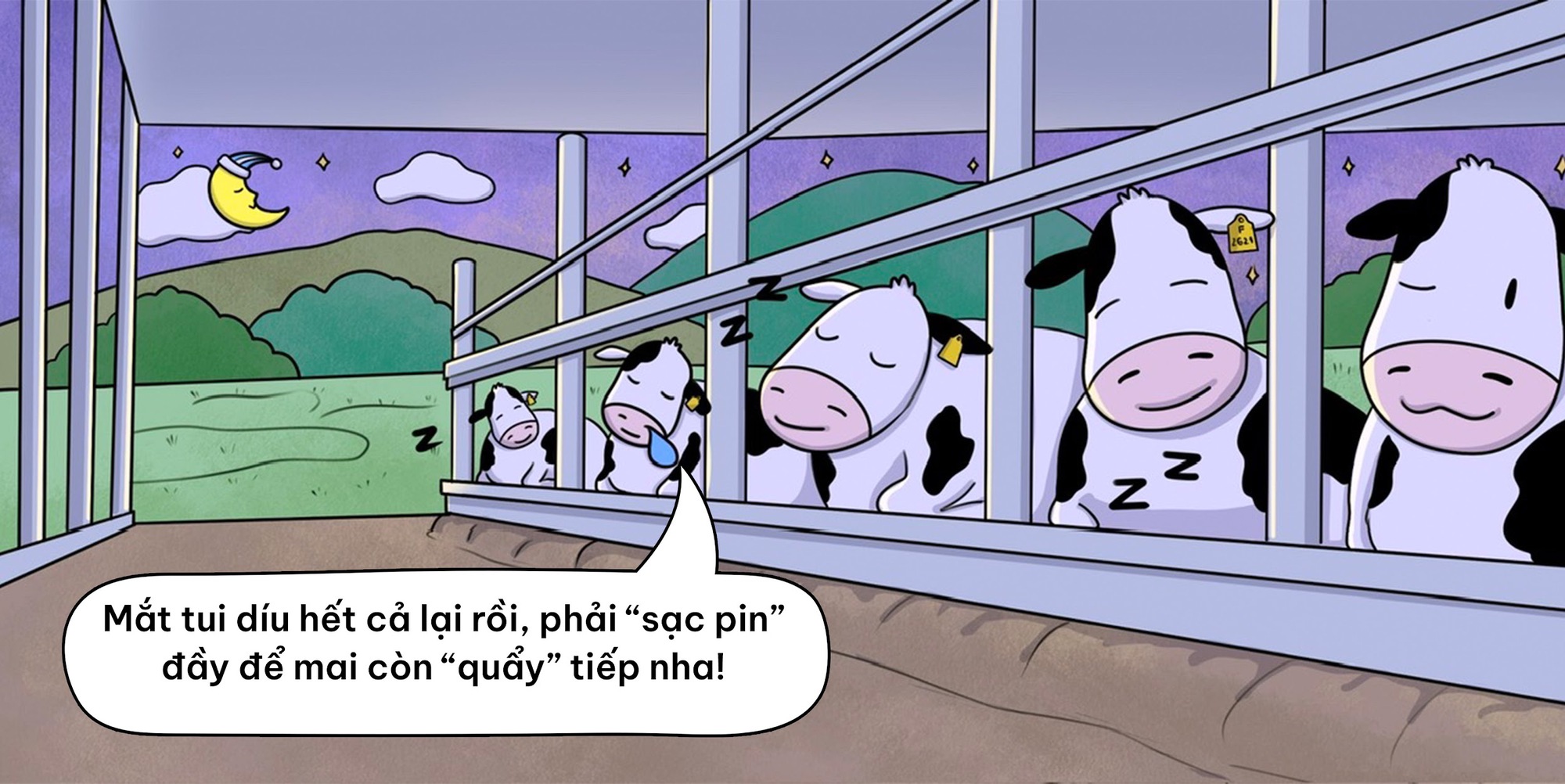 Flex nhẹ cuộc sống “chanh sả” của những cô bò sữa TH true MILK- Ảnh 6. Flex nhẹ cuộc sống “chanh sả” của những cô bò sữa nhà cái hi88- Ảnh 6.