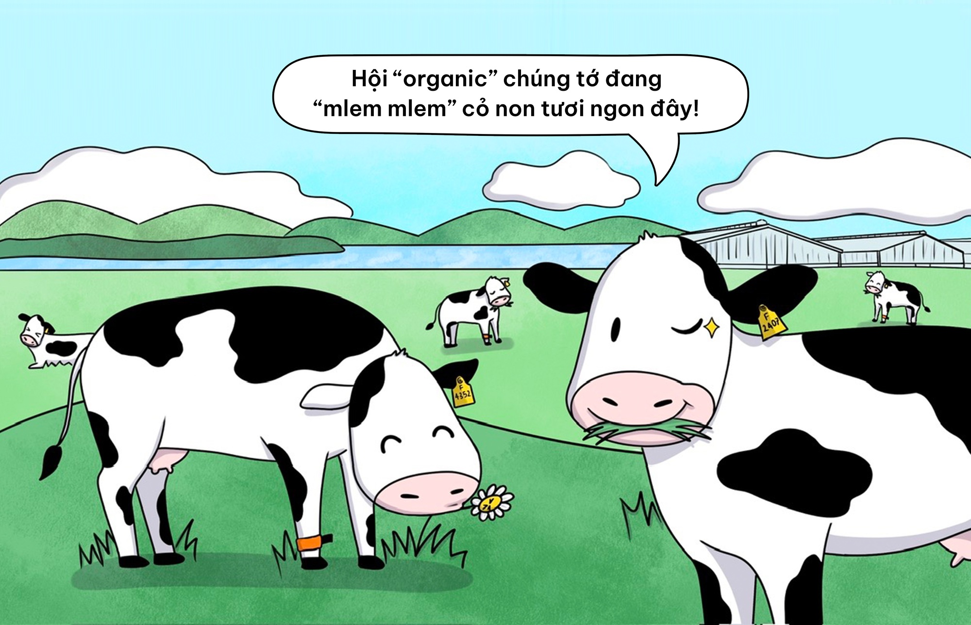 Flex nhẹ cuộc sống “chanh sả” của những cô bò sữa TH true MILK- Ảnh 2. Flex nhẹ cuộc sống “chanh sả” của những cô bò sữa nhà cái hi88- Ảnh 2.