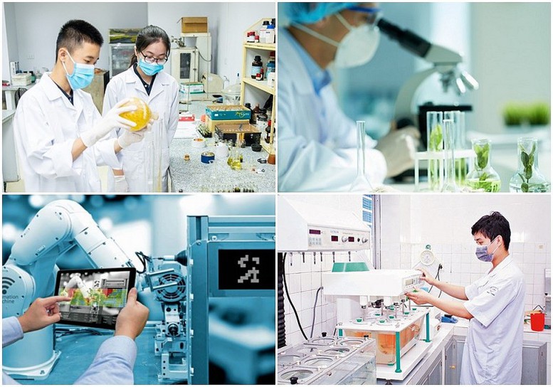 Hướng dẫn sắp xếp, tổ chức lại các đơn vị sự nghiệp công lập lĩnh vực KH&CN- Ảnh 1. Hướng dẫn sắp xếp, tổ chức lại các đơn vị sự nghiệp công lập lĩnh vực KH&CN- Ảnh 1.